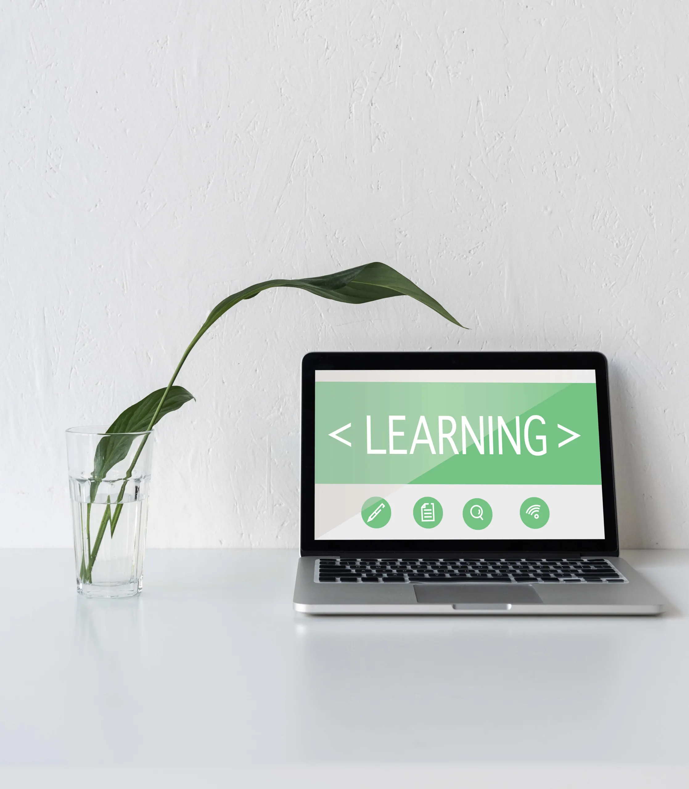 Image Representing Custom eLearning Development Custom eLearning Development